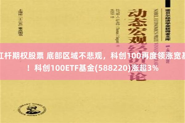 杠杆期权股票 底部区域不悲观，科创100再度领涨宽基！科创100ETF基金(588220)涨超3%