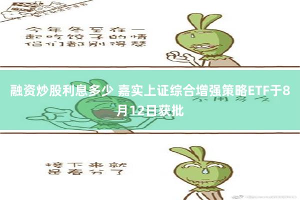 融资炒股利息多少 嘉实上证综合增强策略ETF于8月12日获批