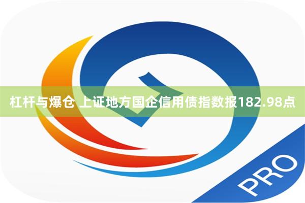 杠杆与爆仓 上证地方国企信用债指数报182.98点