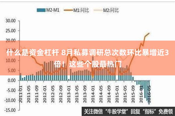 什么是资金杠杆 8月私募调研总次数环比暴增近3倍！这些个股最热门