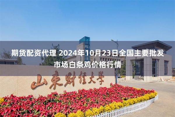 期货配资代理 2024年10月23日全国主要批发市场白条鸡价格行情